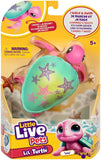 Little Live Pets: Lil Turtle - Isla