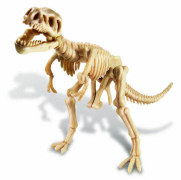 4M: Excavation Kits Tyrannosaurus Rex Skeleton