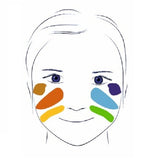 Djeco: 6 Colour Makeup & Face Paint Pallete (Nature)