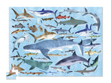 36 Different Kinds of Sharks (100pc Jigsaw)