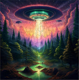 Trippy Puzzles: Earthly Encounter Puzzle (1000pc Jigsaw) Board Game