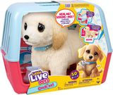 Little Live Pets: Ouchies! - Cooper Plush Toy