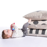 Baby Einstein: Explore & Discover Book