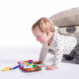 Baby Einstein: Explore & Discover Book