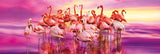 Flamingo Dance Panorama (1000pc Jigsaw)