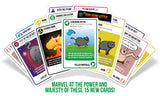 Streaking Kittens: Exploding Kittens (15 Card Board Game Expansion Pack)