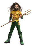 DC Comics: Aquaman - Deluxe Costume (Large)