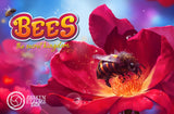 Bees - The Secret Kingdom (Card Game)