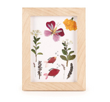 Kikkerland Huckleberry - Flower Press Frame
