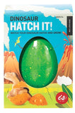 IS Gifts: Hatch It! - Large Dinosaur Egg (Assorted Designs)