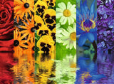 Ravensburger: Floral Reflections (500pc Jigsaw) Board Game