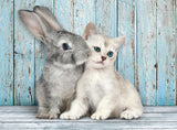 Clementoni: The Kitten and the Rabbit (500pc Jigsaw)