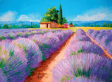 Clementoni: Lavender Scent (500pc Jigsaw) Board Game