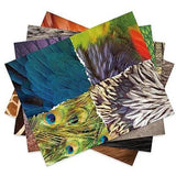 Mier Education: Paper Collage Craft Paper - Animals