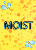 Moist (Adult Party Game)