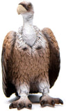 Schleich - Vulture