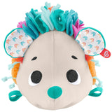 Fisher-Price: Cuddle n' Snuggle Hedgehog Plush Toy