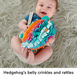 Fisher-Price: Cuddle n' Snuggle Hedgehog Plush Toy