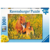 Ravensburger: Shetland Ponies (100pc Jigsaw) Board Game