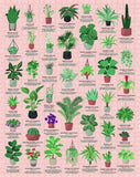 House Plants Jigsaw Puzzle (1000pc) Board Game