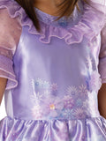 Encanto: Isabela - Deluxe Kids Costume (Size: 6-8)