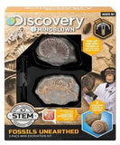 Discovery: Fossils Unearthed - Mini Excavation Kit