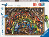 Ravensburger: Rainbow of Birds (1000pc Jigsaw) Board Game