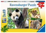 Ravensburger: Panda, Lion, and Tiger (3x49pc Jigsaw) Board Game