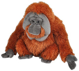 Wild Republic: Orangutan - 12" Cuddlekins Plush Toy