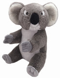 Wild Republic: Mini Koala - 8" Ecokins Plush Toy