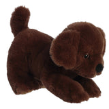 Aurora: Chocolate Lab - 8" Eco Nation Plush Toy