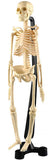 Australian Geographic - Mini-Skeleton (46cm)
