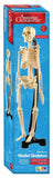 Australian Geographic - Mini-Skeleton (46cm)