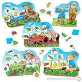 Orchard: Peter Rabbit - Veg Patch Lotto Board Game