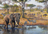 RGS Group: Meeting at the Waterhole - 1500pc Puzzle