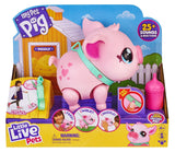 Little Live Pets - My Pet Piglet Piggly Plush Toy