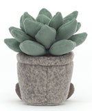 Jellycat: Silly Succulent Azulita - Small Plush Toy
