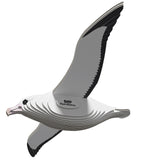 Eugy: Royal Albatross - 3D Cardboard Model