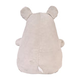 Chunky Cuddly Koala Soft Toy