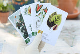 Botany Board Game