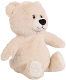 Toasty Hugs: Bobby Bear Plush Toy