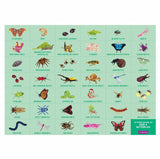 Mudpuppy: Bugs & Butterflies - Search & Find Puzzle (64pc Jigsaw) Board Game