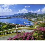 Premium Cut: St Thomas US Virgin Island Puzzle (1000pc Jigsaw) Board Game