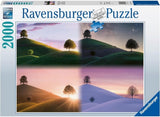 Ravensburger: Seasons Illustration Puzzle (2000pc Jigsaw) Board Game