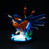 BrickFans: Kingfisher Bird - Light Kit