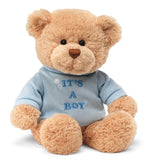 Gund: Message Bear: It's A Boy - Blue Plush Toy
