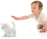 Pugs at Play: Casper the Cat Plush Toy