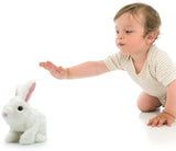 Pugs at Play: Hopper the Hare Plush Toy