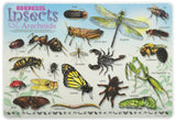 Learning Placemats - Bugs and Insects