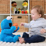 Sesame Street: Peek-A-Boo Cookie Monster Plush Toy